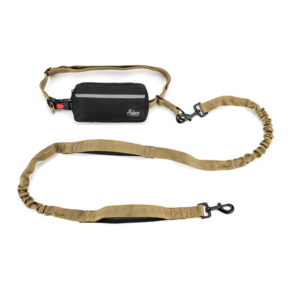 custom pet leash