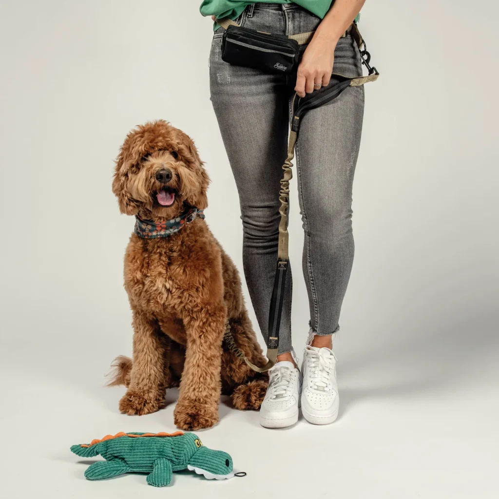 custom pet accessories