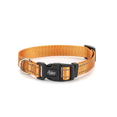 custom pet collar